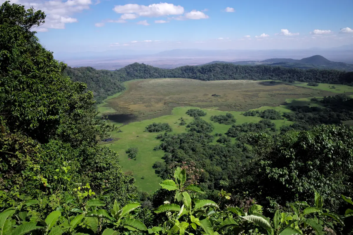 MATERUNI WATERFALL & COFFEE TOUR